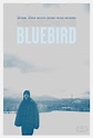 Bluebird movie review & film summary (2015) | Roger Ebert