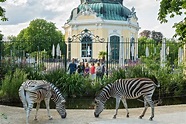 Themenführungen – Tiergarten Schönbrunn