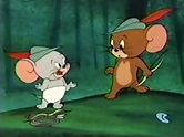 Tom and Jerry - Robin Hoodwinked - Tom et Jerry photo (40874947) - fanpop