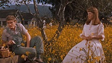East of Eden (1955) - Backdrops — The Movie Database (TMDB)