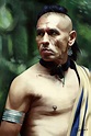 [100+] Wes Studi Pictures | Wallpapers.com