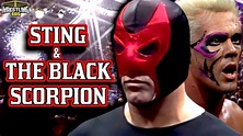 The Story of Sting & The Black Scorpion - YouTube