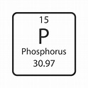 Phosphorus symbol. Chemical element of the periodic table. Vector ...