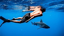 Nadando Con TIBURONES en Hawaii - YouTube