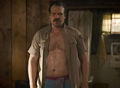 Raise Your Hand If You'd Let Hopper From "Stranger Things" Do Anything ...