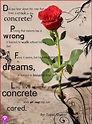 tupac poems the rose that grew from concrete | the-rose-that-grew-from ...