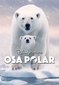 Polar Bear - película: Ver online completas en español
