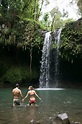 10 Must-See Maui Waterfalls + Map (for swimming, hikes & families)