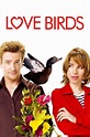 ‎Love Birds (2011) directed by Paul Murphy • Reviews, film + cast ...