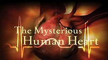 The Mysterious Human Heart - Série - SensCritique