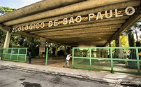 Zoológico de São Paulo: valor dos ingressos e 7 TOP atrações