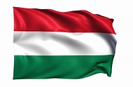 Hungary Waving Flag PNGs for Free Download