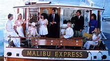 Malibu Express (1985) - Backdrops — The Movie Database (TMDB)