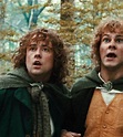 Pippin i Merry | Lord of the rings, Merry and pippin, The hobbit