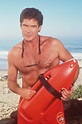 David Hasselhoff Wallpapers (37+ images inside)