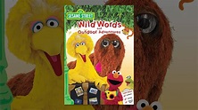 Sesame Street: Wild Words and Outdoor Adventures - YouTube