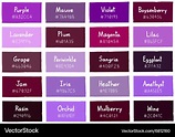 Purple tone color shade background with code Vector Image