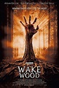El despertar de los muertos (2011) - FilmAffinity