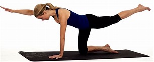 THE BIRD DOG: ONE OF THE BEST CORE EXERCISES YOU'LL EVER DO (OR NEED ...
