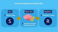 Behaviorismus • Definition, Black Box und Stimulus Response (2022)