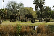 Animal Kingdom - 'Africa'; Elephants | Disney World | Pictures | United ...