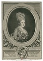 Louis XVI's Sibling: Marie Clotilde of France - Geri Walton
