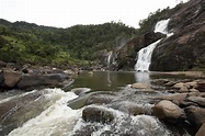 Ranomafana National Park | Madagascar | Wild Safari Guide