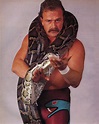 Jake the snake roberts, Wwf, Wrestling superstars