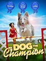 Watch My Dog the Champion | Prime Video