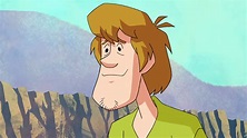 Shaggy Rogers | Scooby-Doo! Mystery Incorporated Wiki | Fandom