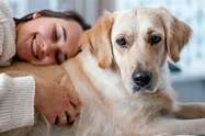 Mãe de pet: 8 atitudes essenciais para ser uma boa tutora