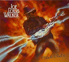 Joe Louis Walker CD: Eclectic Electric (CD) - Bear Family Records