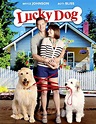Lucky Dog (2015) - IMDb