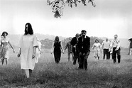 Zombie Apocalypse Now: 'Night of the Living Dead' at 50 - Rolling Stone