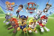 Paw Patrol - PAW Patrol Photo (42543362) - Fanpop - Page 4