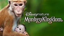 Monkey Kingdom (Movie, 2015) - MovieMeter.com