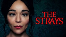 The Strays - Netflix Movie - Where To Watch