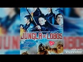 JUNGLA De LOBOS - YouTube