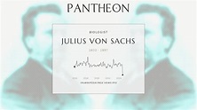 Julius von Sachs Biography - German botanist (1832-1897) | Pantheon