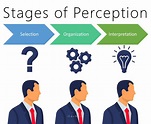 Perception: Definition, Importance, Factors, Perceptual Process, Errors