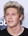 Niall Horan Picture 60 - 2014 American Music Awards - Arrivals