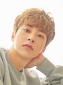 Xiumin | K-pop Wiki | Fandom