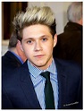 One Direction Niall Horan 2014