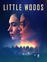 Little Woods (2018)