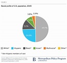 Brookings Institution, Racial Profile of U.S. Population in 2045 ...