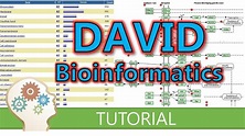 How to use DAVID for functional annotation of genes - YouTube