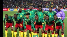 Overview of Cameroon National Football Team - FIFA World Cup 2014 ...