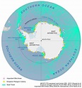 Antarctica Map and Satellite Imagery [Free]
