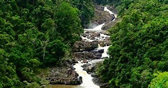 Madagascar: Ranomafana National Park | Evaneos