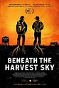 Beneath the Harvest Sky DVD Release Date October 14, 2014